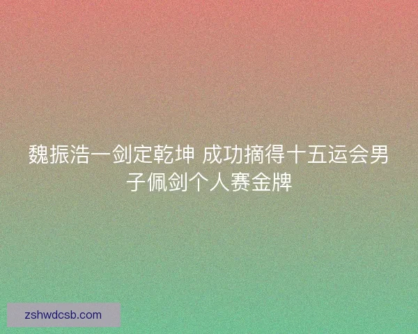 魏振浩一剑定乾坤 成功摘得十五运会男子佩剑个人赛金牌